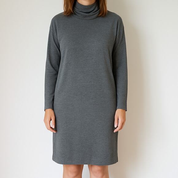 Kit and Ace Cashmere Blend Turtleneck Long Sleeve Dress Gray L - Picture 1 of 7